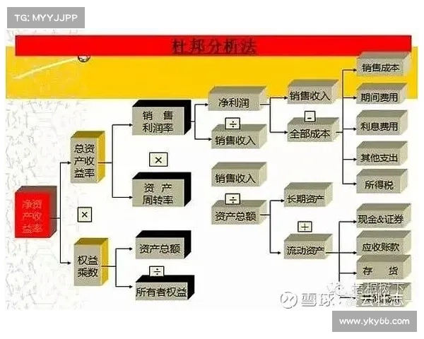 洞穴行动支援策略实施的关键步骤与优化路径分析 洞穴行动支援策略实施的关键步骤与优化路径分析