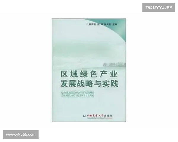 提升高原地区社会工作服务效能的策略与实践探索 提升高原地区社会工作服务效能的策略与实践探索