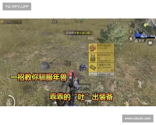 掌握水性式神制胜之道全面解析获取胜利的核心秘密与实战技巧